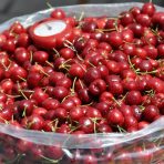  Bowl of Cherries, Ecuador 2011